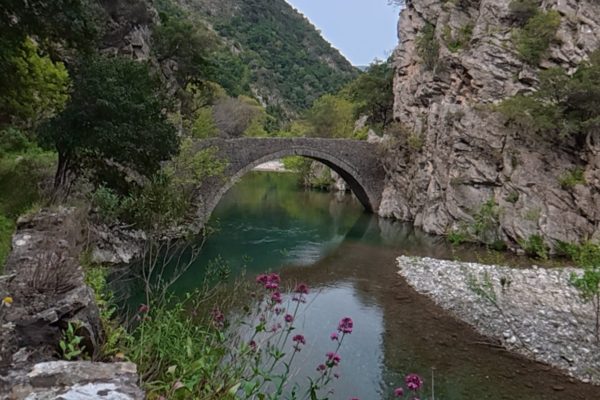 compose_video_1776378165159