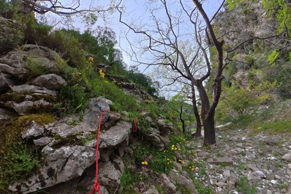 compose_video_1776378221571