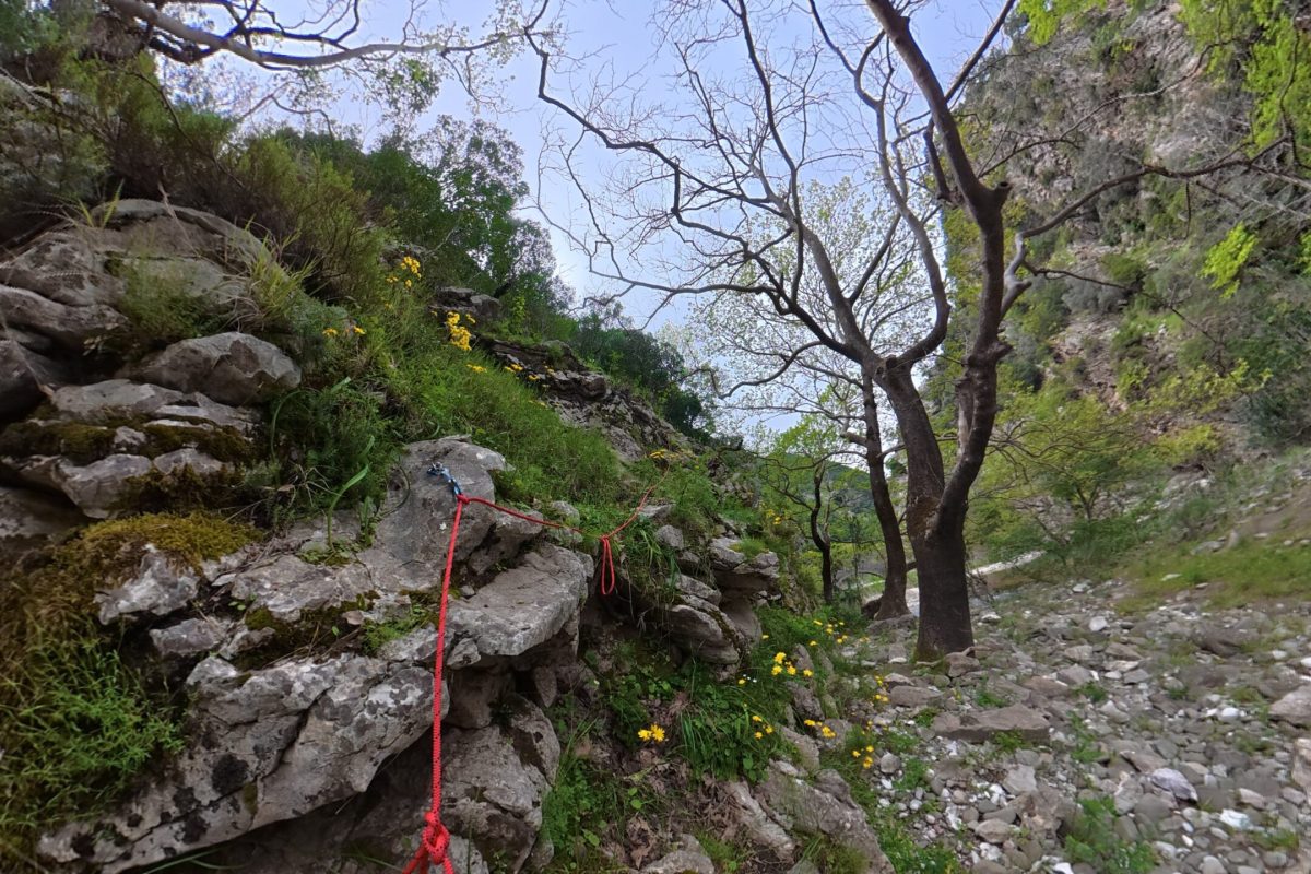 compose_video_1776378221571