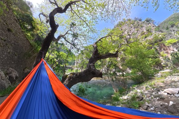 compose_video_1776378379288