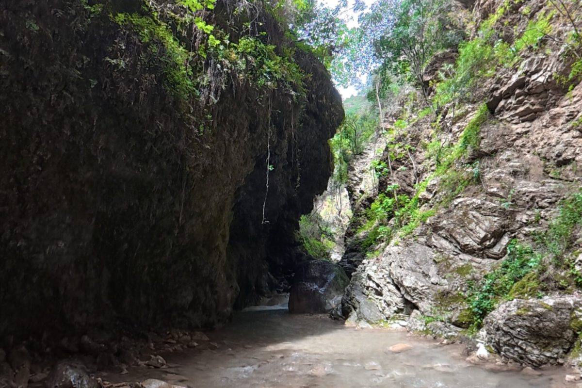 compose_video_1776437501943