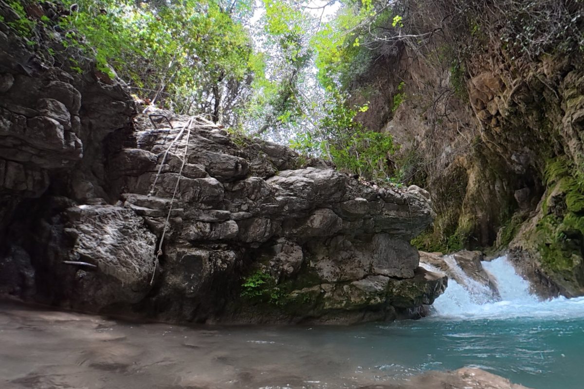 compose_video_1776437616757