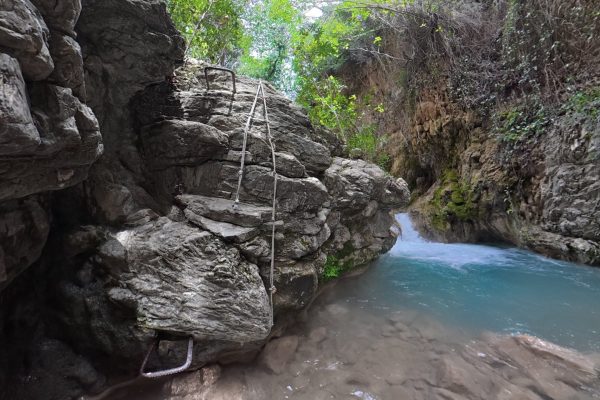 compose_video_1776437677935