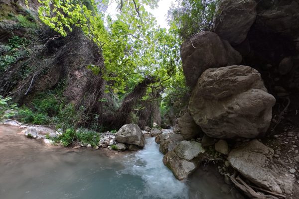 compose_video_1776437754816